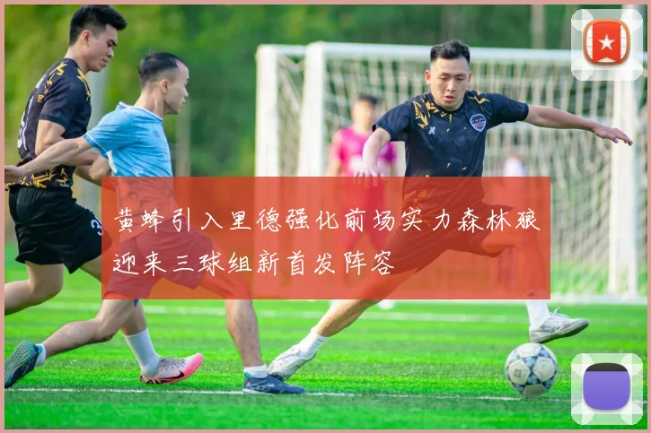 黄蜂引入里德强化前场实力森林狼迎来三球组新首发阵容